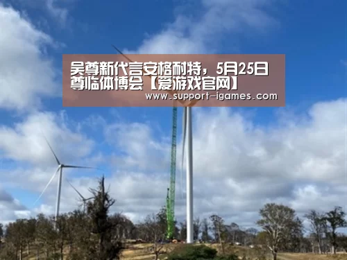 吴尊新代言安格耐特,5月25日尊临体博会【爱游戏官网】(图1) 爱游戏官方入口