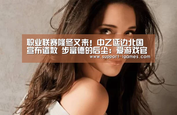职业联赛隆冬又来!中乙延边北国宣布遣散 步富德的后尘:爱游戏官网(图3) 爱游戏娱乐