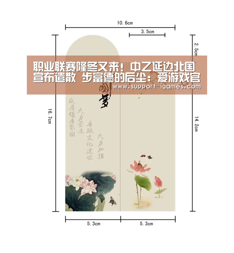职业联赛隆冬又来!中乙延边北国宣布遣散 步富德的后尘:爱游戏官网(图4) 爱游戏官方入口