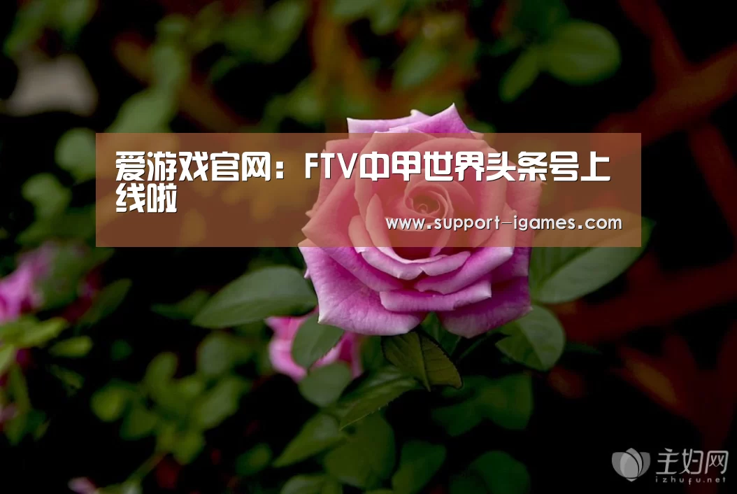 爱游戏官方入口