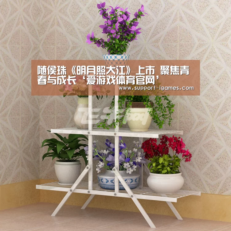 爱游戏娱乐