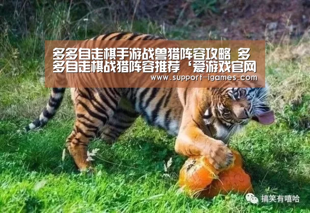 多多自走棋手游战兽猎阵容攻略 多多自走棋战猎阵容推荐‘爱游戏官网’(图3) 爱游戏官方入口